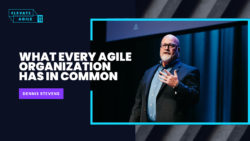 What Every Agile Organization Has in Common